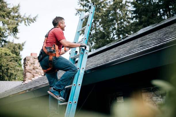 Best Roof Maintenance and Cleaning  in Madera Ranchos, CA